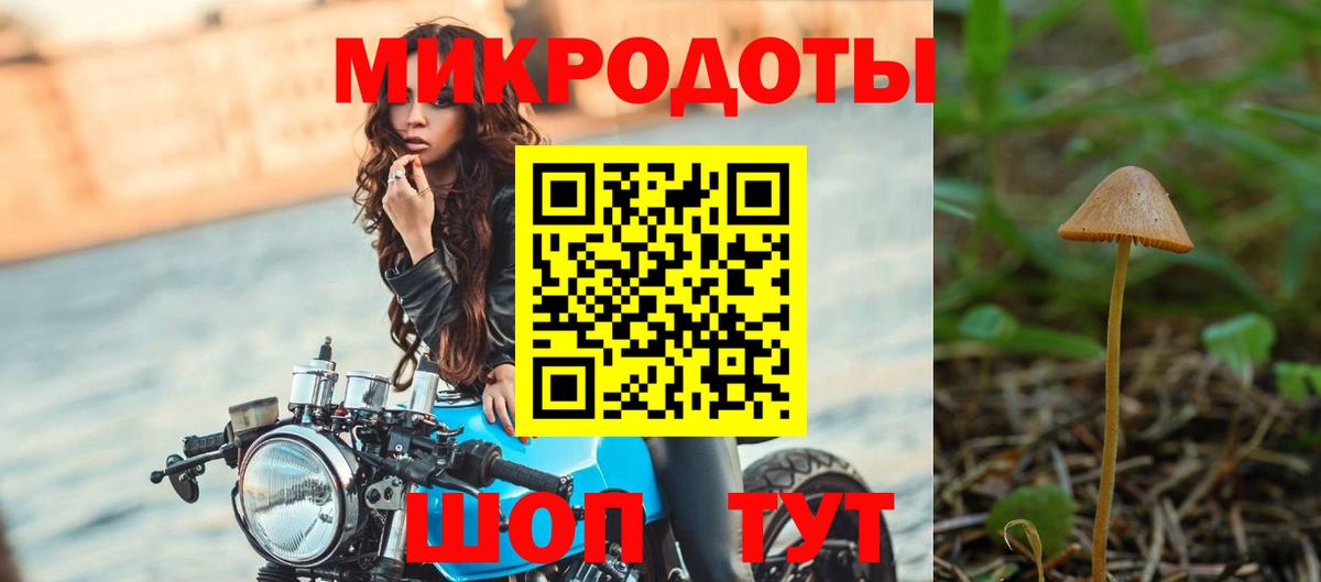 Галлюциногенные грибы прущие грибы Минусинск